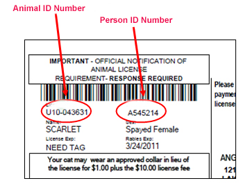 animal control tag with details