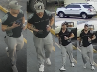 Burglary/Theft suspect