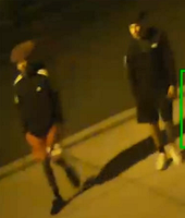 Suspects looking for unlocked cars