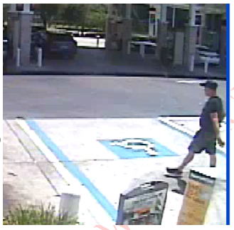 Fraud Suspect Fraud Suspect