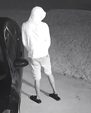Northside Village vehicle burglary suspect